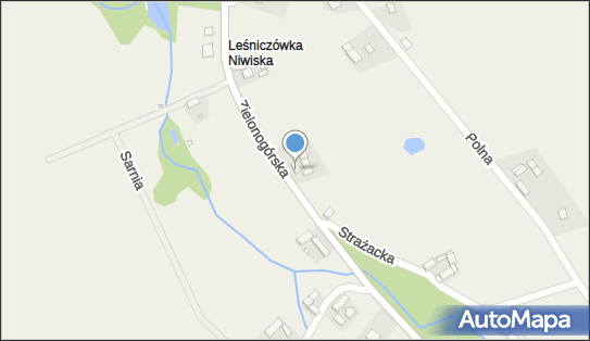 Warsztat Samochodowy Blacharstwo Lakiernictwo, ul. Zielonogórska 9 66-010 - Przedsiębiorstwo, Firma, NIP: 9730579632