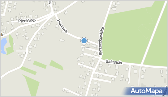 Warsztat Samochodowy Tomasz Trybuś, ul. Skrzeczkowicka 32a, Żory 44-240 - Przedsiębiorstwo, Firma, NIP: 6422888407