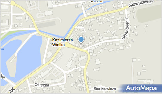 Warzywa Owoce Art Ogólnospożywcze, ul. 1 Maja NN 28-500 - Przedsiębiorstwo, Firma, NIP: 6821027167