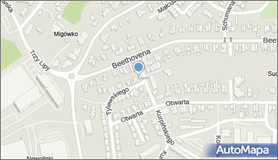 Warzywko, ul. Tadeusza Tylewskiego 2, Gdańsk 80-169 - Przedsiębiorstwo, Firma, NIP: 5832045694
