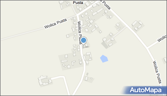 Wasielewski Tomasz, Wolica Pusta 38, Wolica Pusta 63-040 - Przedsiębiorstwo, Firma, NIP: 7861437877