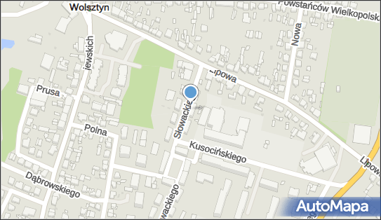 WCNS Filip Ćwikliński, Słowackiego Juliusza 2, Wolsztyn 64-200 - Przedsiębiorstwo, Firma, NIP: 9231636754
