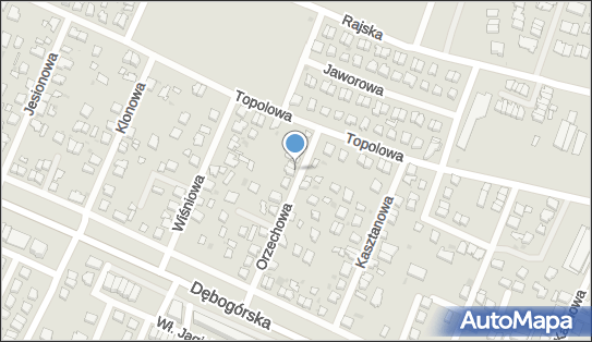 5882394669, Weronika Suchecka 