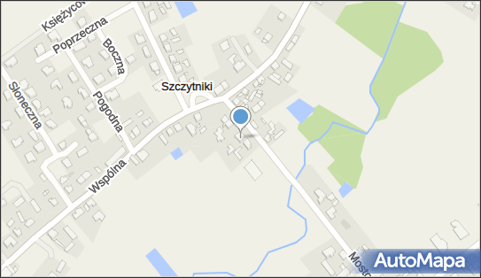 Wesołek Michał West-Trans, Mostowa 4, Szczytniki 62-023 - Przedsiębiorstwo, Firma, NIP: 7772833301