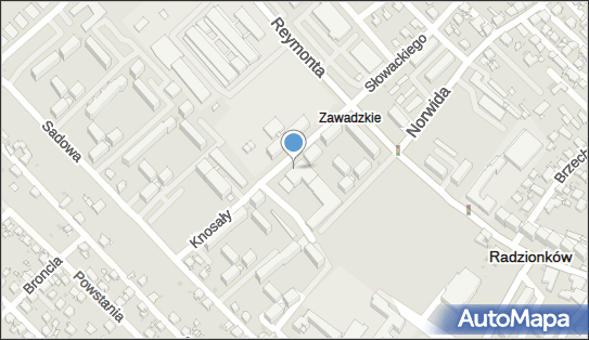 Weterynarz Pluto Radzionków, KS. KNOSAŁY 61A, RADZIONKÓW 41-922 - Przedsiębiorstwo, Firma, numer telefonu