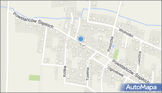 272282810, Wiechoczek Jan 