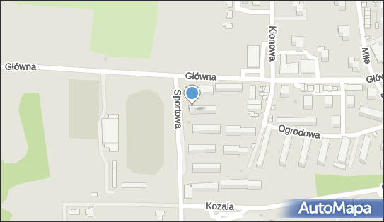 Wiecki Wojciech, Sportowa 1, Janikowo 88-160 - Przedsiębiorstwo, Firma, NIP: 5562316024