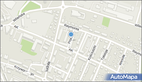 931188135, Taxi Fabian Wieczorek 