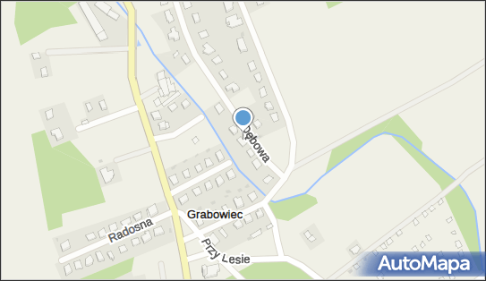 Wielewicki Adam Progres, ul. Dębowa 26, Grabowiec 87-162 - Przedsiębiorstwo, Firma, NIP: 5791890546