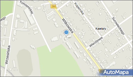 Wielkopolskie Stowarzyszenie Kombatantów R P Osób Represjonowanych i Ich Rodzin 62-200 - Przedsiębiorstwo, Firma, numer telefonu, NIP: 7842330380