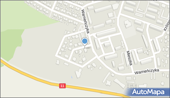 6080106435, Wielkopolskie Stowarzyszenie Romów z Siedzibą w Pleszewie 