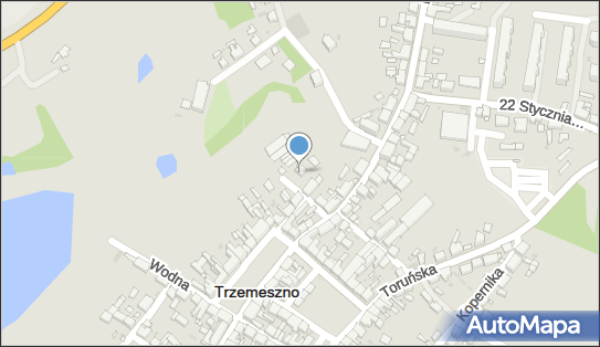7831618692, Wielkopolskie Stowarzyszenie Wychowanków Gimnazjum i Liceum im.Michała Kosmowskiego w Trzemesznie 