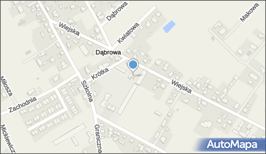 Wielobranżowe Przedsiębiorstwo Usługowo Handlowe Dąbrowa 62-069 - Przedsiębiorstwo, Firma, numer telefonu, NIP: 7790005299