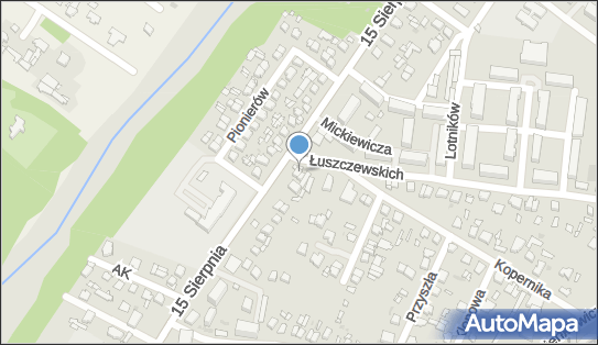 Wiesław Ledzion Spółka Handlowa Ledzion, ul. Łuszczewskich 2 96-500 - Przedsiębiorstwo, Firma, NIP: 8371054951