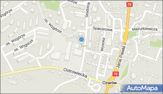 Wiesław Orłowski, ul. Stodolna 108, Ożarów 27-530 - Przedsiębiorstwo, Firma, NIP: 8641593707