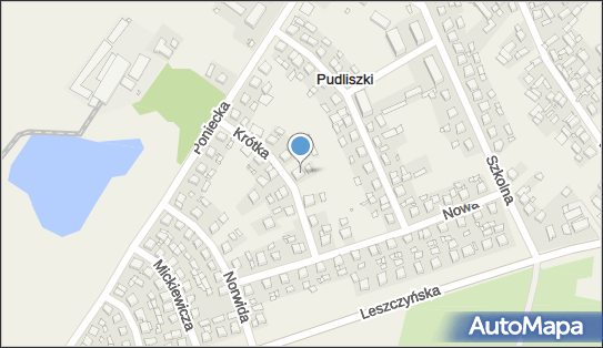 302539410, Wiesław Pawłasek Labradoryt 