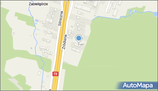 Wiesław Piróg - Działalność Gospodarcza, Dąbrowa 391, Dąbrowa 26-001 - Przedsiębiorstwo, Firma, NIP: 6571649524