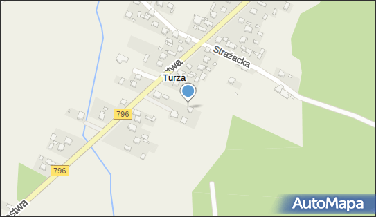 Wiesław Ples - Działalność Gospodarcza, 1 Maja 61, Turza 42-458 - Przedsiębiorstwo, Firma, NIP: 6491413593