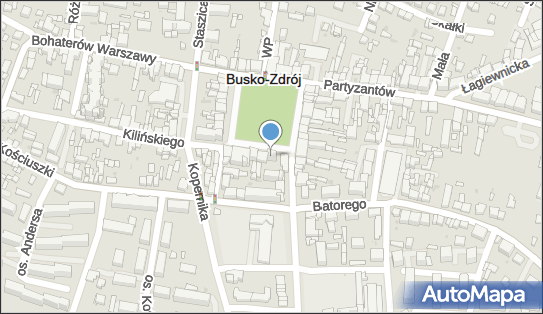Wiesława Karolczak - Zakład Usługowo-Handlowy Optyk, Busko-Zdrój 28-100 - Przedsiębiorstwo, Firma, NIP: 6551051597