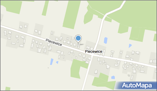 Wiesława Leszczyńska Sklep Spożywczo-Przemysłowy, Plecewice 28 05-088 - Przedsiębiorstwo, Firma, NIP: 5290015810
