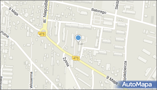 Wiesława Lis - Działalność Gospodarcza, 9 Maja 69, Łask 98-100 - Przedsiębiorstwo, Firma, NIP: 8311058537