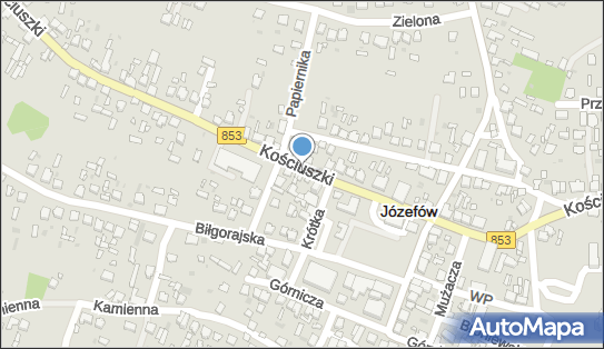 Wiesława Nieśpiał - Działalność Gospodarcza, Józefów 23-460 - Przedsiębiorstwo, Firma, NIP: 9181316124