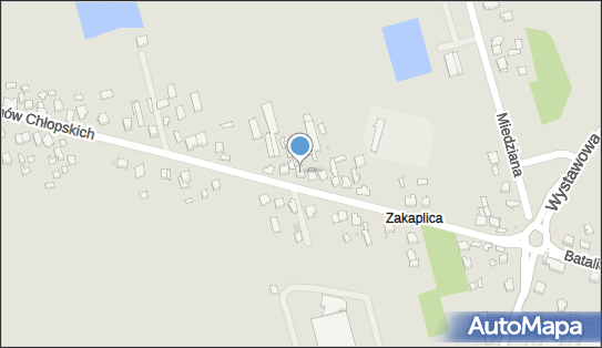 Wijas, ul. Batalionów Chłopskich 238, Kielce 25-670 - Przedsiębiorstwo, Firma, NIP: 9590778299