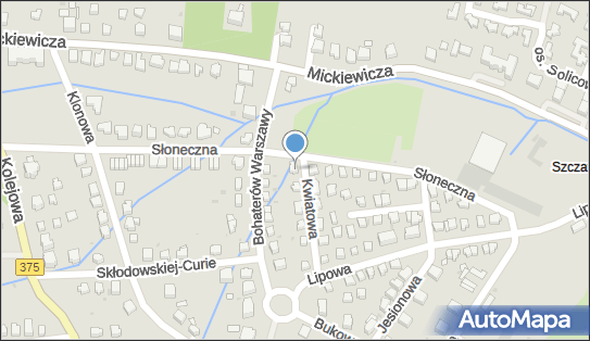 9521765678, Everet Wiktoriya Lemeshko 