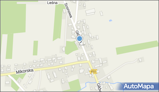 Wilk Med Wilk Krystian, ul. Główna 83A, Wyszanów 98-400 - Przedsiębiorstwo, Firma, NIP: 6191258639