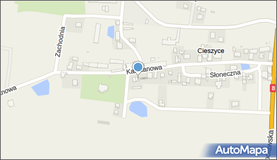 Wilk T., Cieszyce, Kasztanowa 19, Cieszyce 55-040 - Przedsiębiorstwo, Firma, NIP: 8961024187