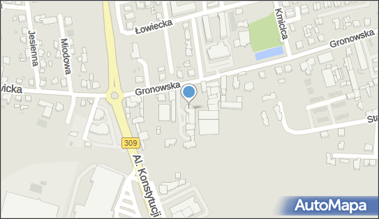 Willsoor, Gronowska 6a, Leszno 64-100 - Przedsiębiorstwo, Firma, numer telefonu