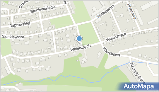 8831703518, Tomasz Winiarz 