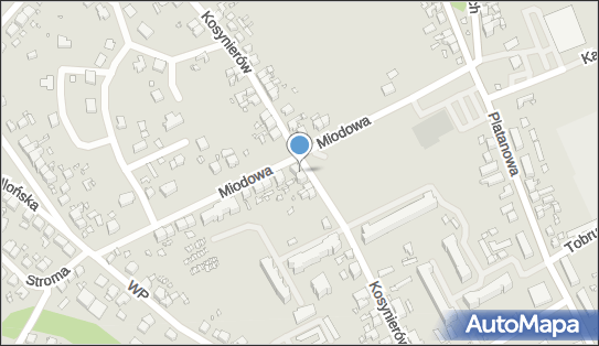 Wioleta Ciszewska, Kosynierów 57, Gubin 66-620 - Przedsiębiorstwo, Firma, NIP: 9261526616