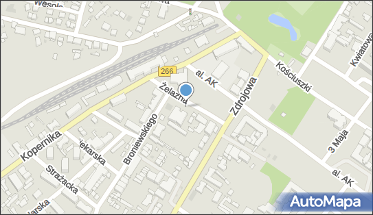 Wioletta Jankowska - Działalność Gospodarcza, Żelazna 12 87-720 - Przedsiębiorstwo, Firma, NIP: 8911190216