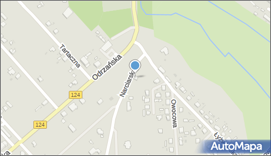 8581225436, Wioletta Jędrzejak 