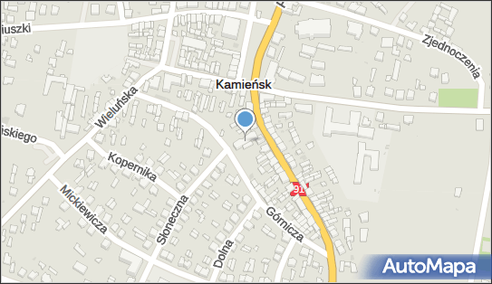 7721875229, Wioletta Palinceusz Pizzeria Kamikaze 