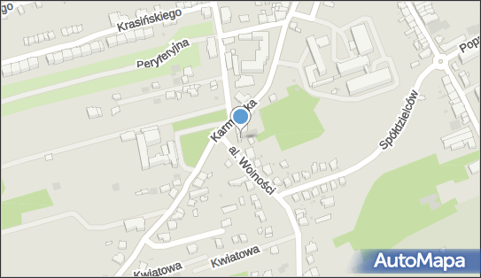 5511186391, Siwek Wioletta 