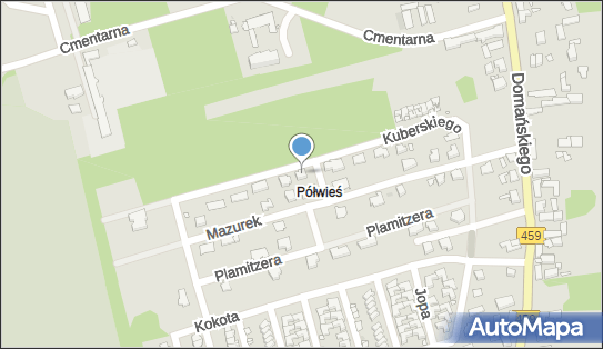 Wiśniewska Aw Consulting, ul. prof. Leszka Kuberskiego 11A, Opole 45-821 - Przedsiębiorstwo, Firma, NIP: 7542525949