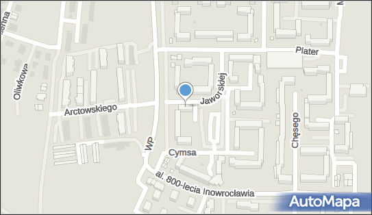 Witkowska Bogna Zabiegi Fizjoterapeutyczne, Inowrocław 88-100 - Przedsiębiorstwo, Firma, NIP: 5561168432