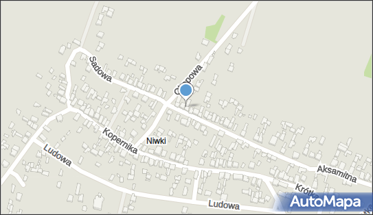 Witkowski Tomasz Aleksandria, Aksamitna 4, Poręba 42-480 - Przedsiębiorstwo, Firma, NIP: 6371265612