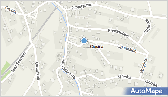 Witold Adamczyk Wajark, Lipowskich 8, Cięcina 34-350 - Przedsiębiorstwo, Firma, NIP: 5531156269