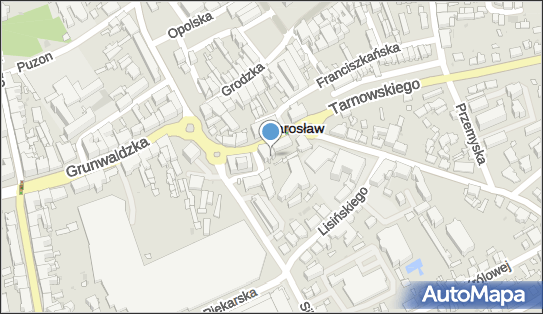 Witold Sękiewicz - Działalność Gospodarcza, Plac Mickiewicza 14 37-500 - Przedsiębiorstwo, Firma, NIP: 7921019788