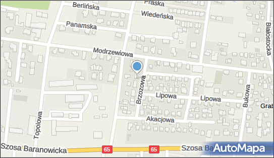 Witold Walko - Działalność Gospodarcza, ul. Brzozowa 8 15-521 - Przedsiębiorstwo, Firma, NIP: 9661649386