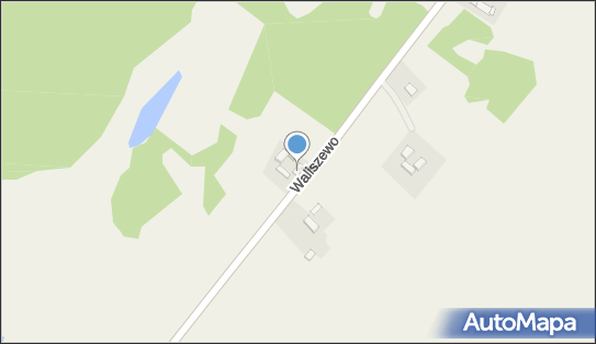 Władysław Paszkiewicz, Waliszewo 7, Waliszewo 73-140 - Przedsiębiorstwo, Firma, NIP: 8541433720