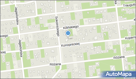 Władysław Walinowicz, ul. Gabriela Sokolnickiego 65 95-039 - Przedsiębiorstwo, Firma, NIP: 7320021740
