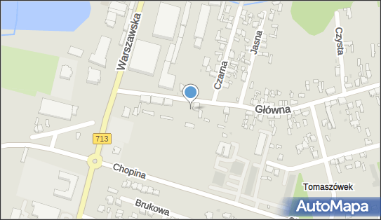 7731263373, Władysław Witek 