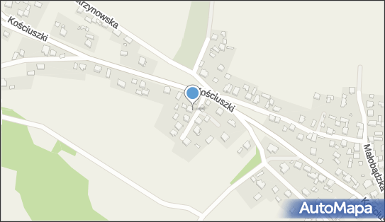 276624057, Włodzimierz Kosarga Auto-Handel - Handel Obwoźny 