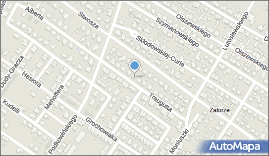 WM Foto, ul. gen. Romualda Traugutta 20, Leszno 64-100 - Przedsiębiorstwo, Firma, NIP: 6971551444
