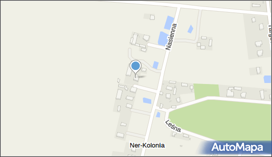 Wodner Wiesław Brzeziński Kazimierz Żurawski, Ner-Kolonia 22 99-220 - Przedsiębiorstwo, Firma, numer telefonu, NIP: 8280003043