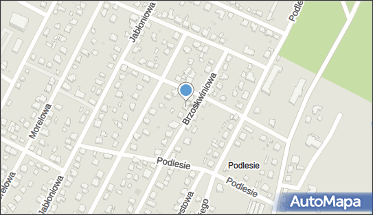 Wojcich Rafalski, Brzoskwiniowa 53, Chojnice 89-600 - Przedsiębiorstwo, Firma, NIP: 5551306068